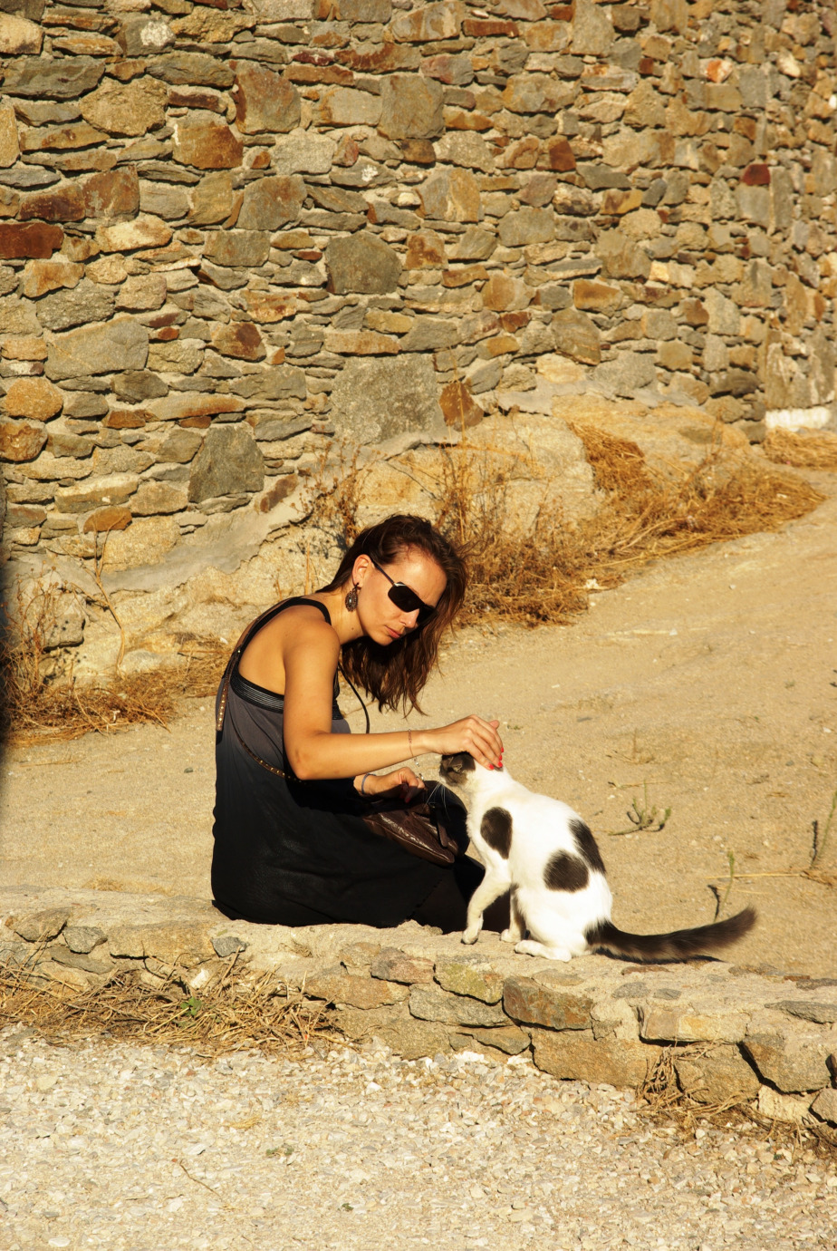 Karine, communicatrice animalière